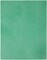 CousinDIY 10x13" Christmas Green 7-count Plastic Canvas - 1 sheet